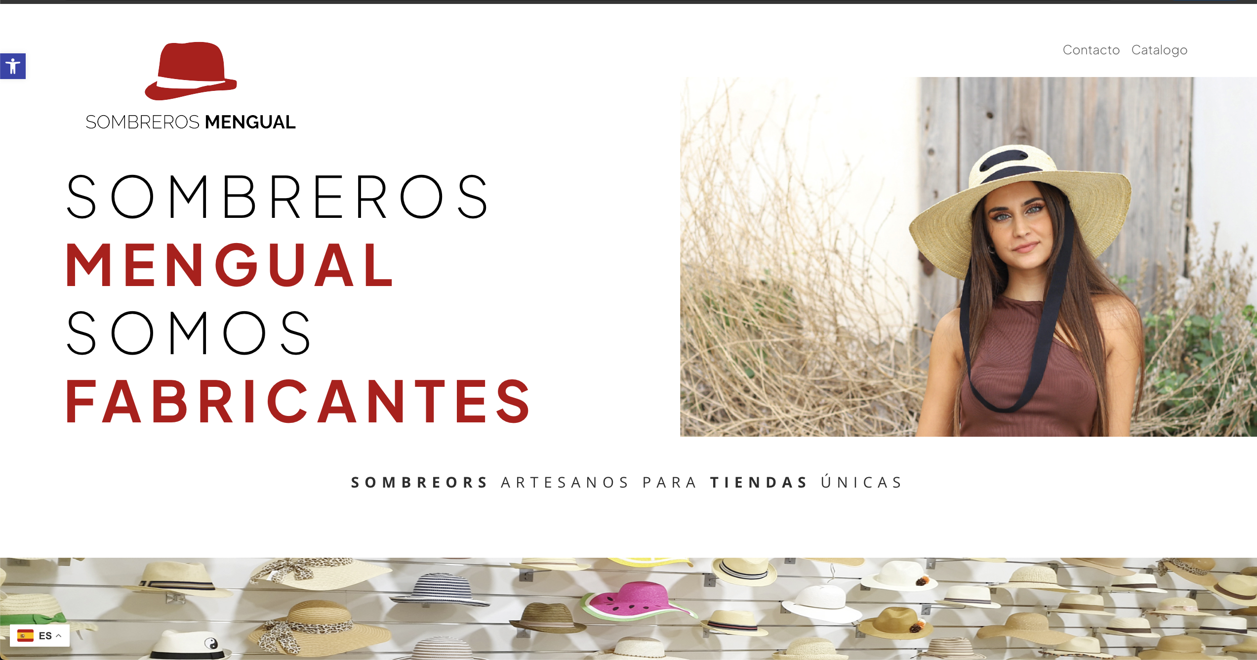 Imagen de Desarrollo y Gestión de WordPress